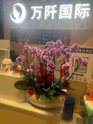 -万阡国际专业祛斑·祛痣·祛疤连锁