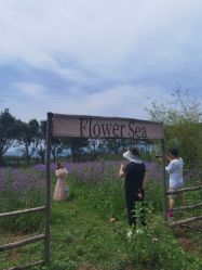 -DORA kids 朵拉儿童摄影花园店