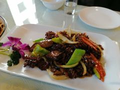 -宝发园名菜馆
