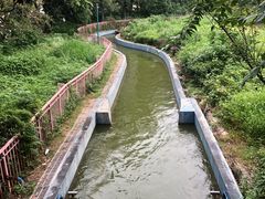 -国色天乡三期陆地乐园