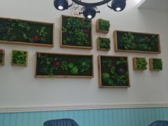 包厢-云鱿记鱿鱼鸡·野生菌火锅(人民南路店)