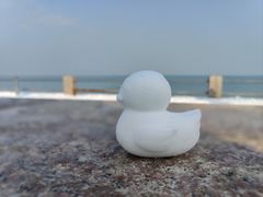 -锅老头海鲜铁锅炖