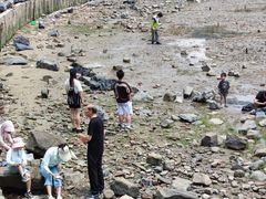 -平湖九龙山旅游度假区