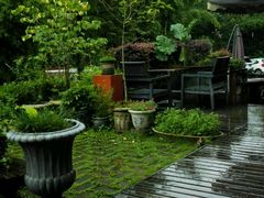 android_upload_pic-17号蓝滩咖啡馆(武夷山店)