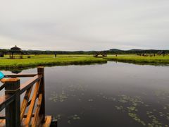 -塞罕坝国家级自然保护区