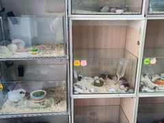 -小宠乐园(北五道街店)