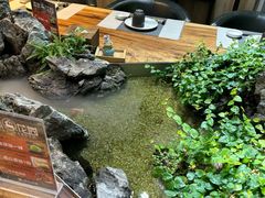 -森味薪火烧•烧鸟居酒屋•日本料理(望京店)