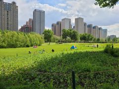 -长白岛森林公园