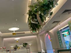 -Aqua Oasis 水天堂(太湖中心mall店)