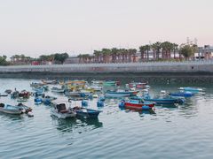 -龙舟池
