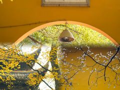 -西园戒幢律寺