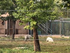 -秦皇岛野生动物园