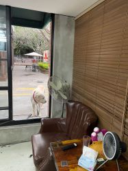 -Libertines barbershop 浪子理发店