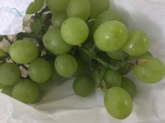 -美家乐农庄·露营·团建(大治路店)