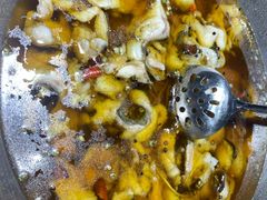 -雲蜀龙阁·金牌水煮鱼(方庄店)