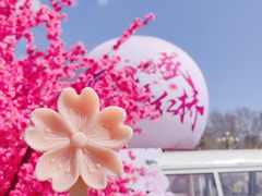 -桃花堤公园