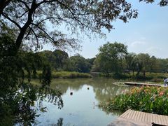 -西溪国家湿地公园