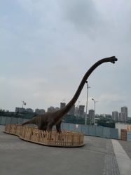 -恐龙探索乐园(磁器口店)