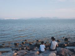 -宝安西湾红树林湿地公园