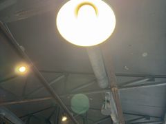 -Dombe豚(黑猪肉街店)