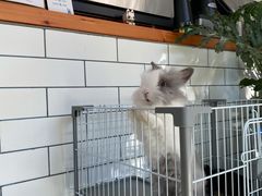 -小意思咖啡店(草桥店)