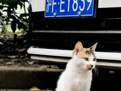 -上海幻维数码创意科技有限公司