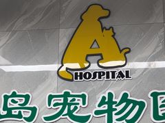 -半岛宠物医院24小时(白果林店)
