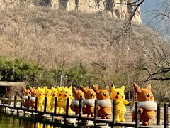 -云台山风景名胜区