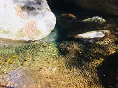 -丹东天桥沟景区