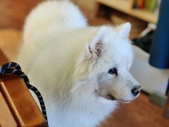 -路家小馆(富力又一城店)