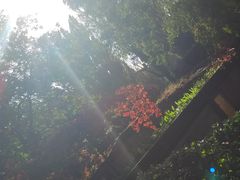 -北京动物园-畅观楼