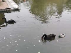 -厦门园林博览苑