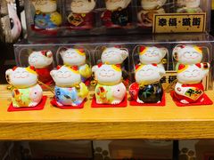 -猫咪博物馆(顶澳仔猫街店)