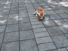 -晓港公园