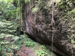 -青城山