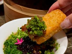 -上海总会SHANGHAICLUB(兴业太古汇店)