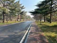 -河南省黄河迎宾馆