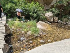 -碓臼峪自然风景区