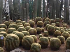 -南山植物园