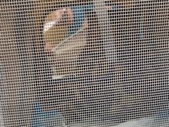 -纳吉亚猫专科动物医院博雅分院