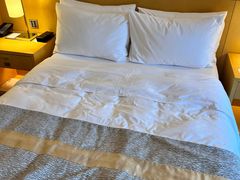 -广州白天鹅宾馆