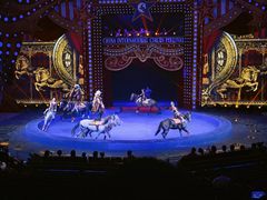 -珠海横琴长隆《卡卡虎奇遇记》