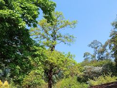 -广州市流溪河国家森林公园