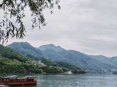 -后柳水乡