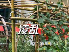 -冰厂田幼儿园(碧云部)