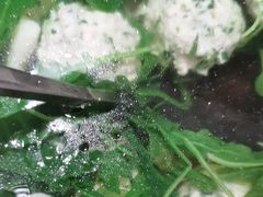 -大鹏饭店·金陵家宴(奥体中心店)