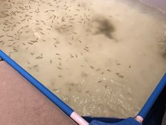-汤乐汇•足道•SPA生活馆