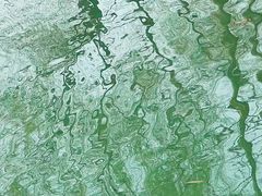 -尚贤河湿地