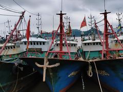 -天天渔港海鲜酒家(石浦玉泉路店)