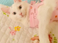 -美迦爱-牙专科·兔科·骨科诊疗中心(北苑店)